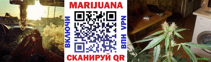 цена   Юрьевец  Конопля OG Kush 